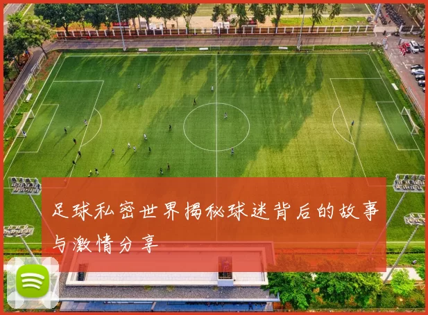 足球私密世界揭秘球迷背后的故事与激情分享