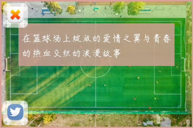 在篮球场上绽放的爱情之翼与青春的热血交织的浪漫故事