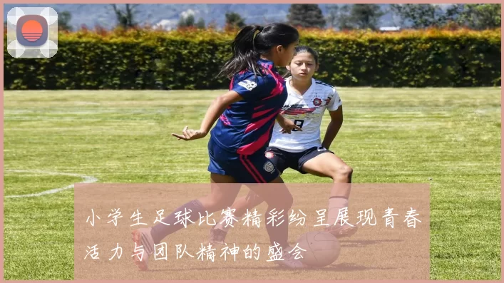小学生足球比赛精彩纷呈展现青春活力与团队精神的盛会