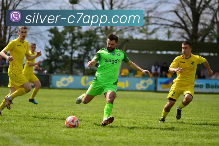 App Interface Preview